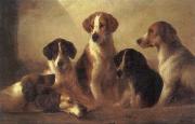 Edward Robert Smythe Hounds oil painting picture wholesale
